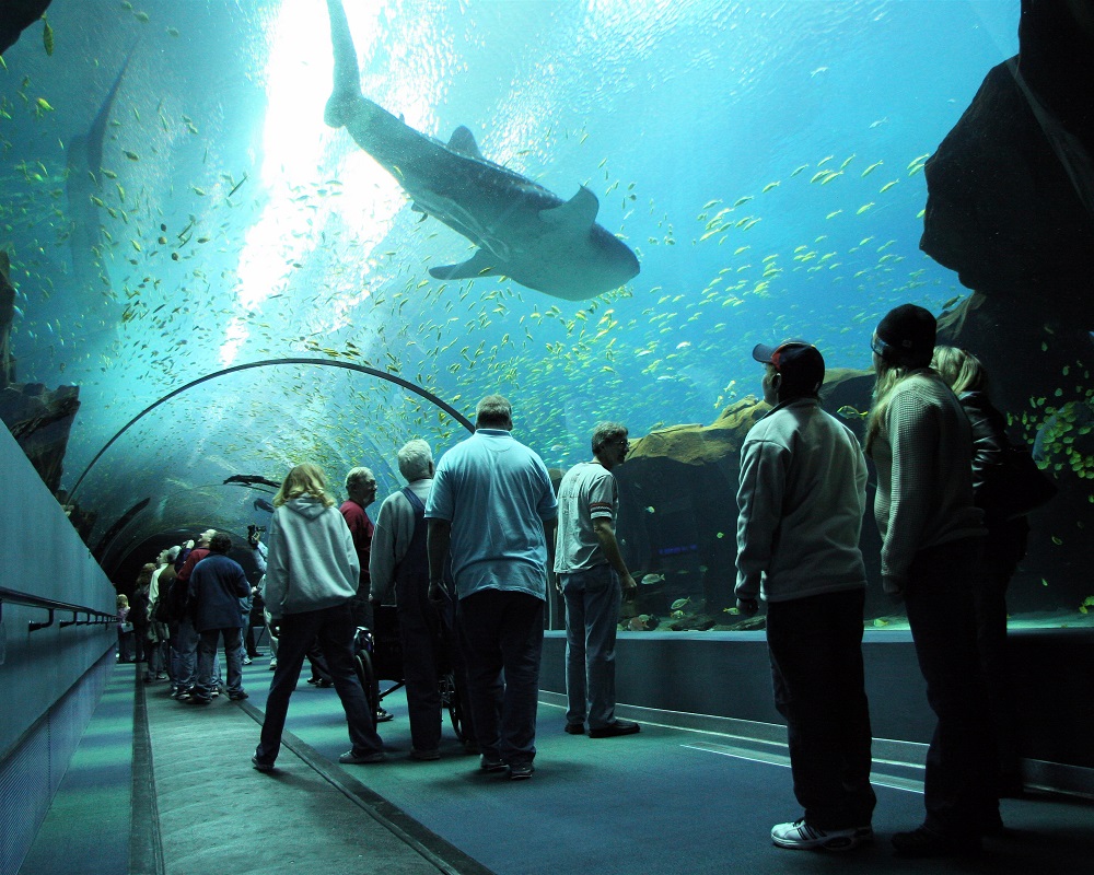 Gas South Georgia Aquarium Offer